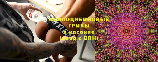 винт Армянск