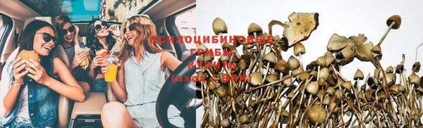 каннабис Аркадак