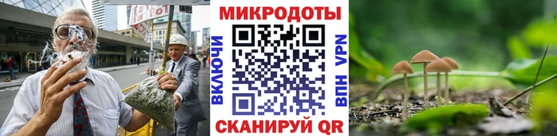 Галлюциногенные грибы Psilocybine cubensis  закладка  блэк спрут онион  Теберда 